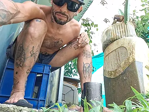 Show webcam de Toycockhot