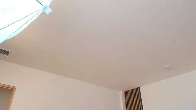 Alexander_Connor élő XXX-chatje