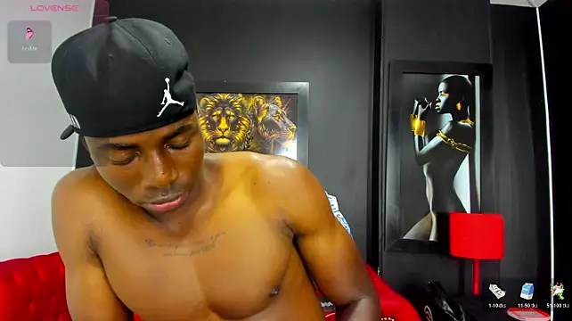 عرض كام LionBlackk