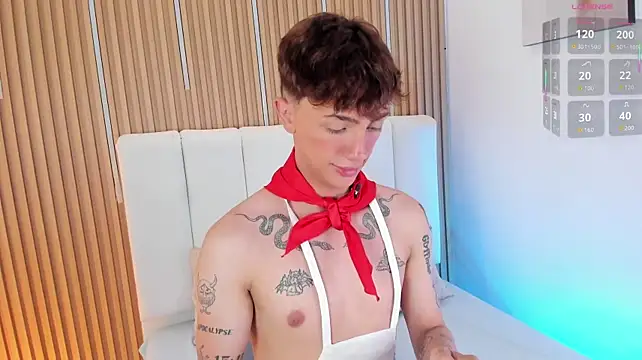 Show Webcam de Timothy_ros