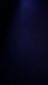 VipBayern Show in webcam