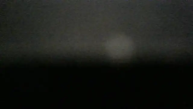 dracogotti élő XXX-chatje