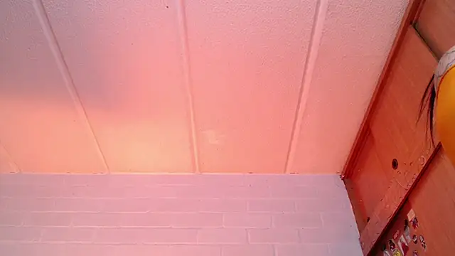 Amy66 – Live XXX-chat
