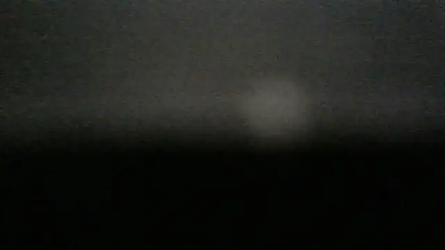 dracogotti Live XXX Chat