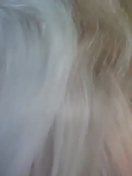 ScarletsWeb Chat XXX live