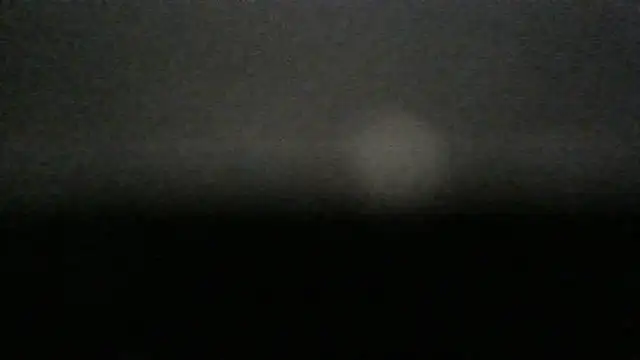 dracogotti Live XXX-chat