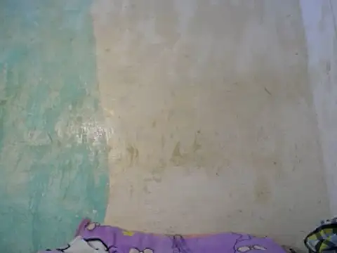 Steven-2223 Live XXX-chat