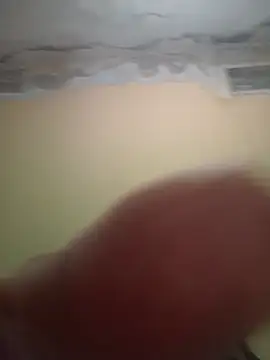 lorosgo 现场XXX聊天