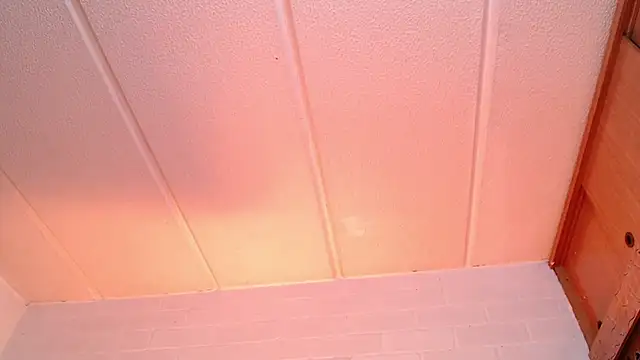 Amy66n Live XXX chat