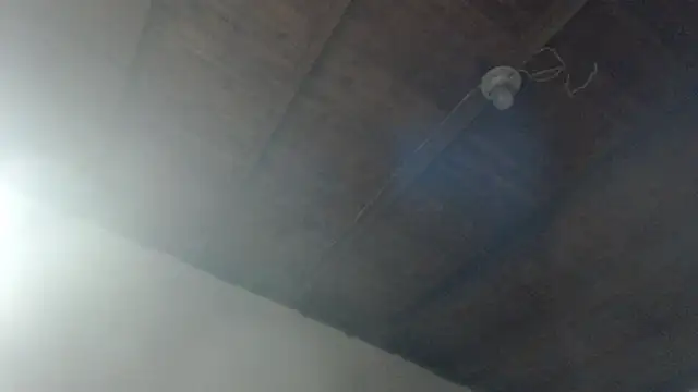 ROOKERT's Live XXX Chat