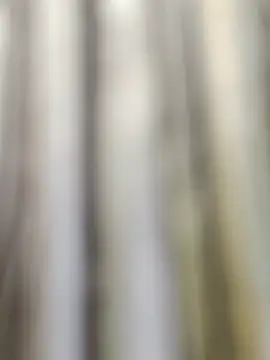 צ'אט XXX בשידור חי של ThethunderPo