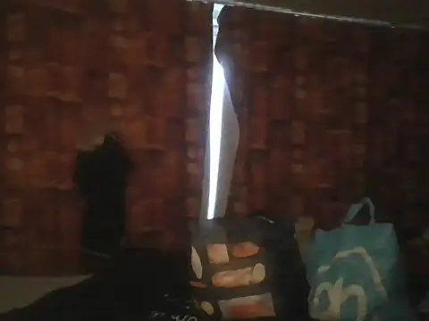 Chatroom XXX en direct de Timson00001