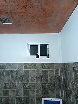 ELPELONDEBRAZER Webcam show
