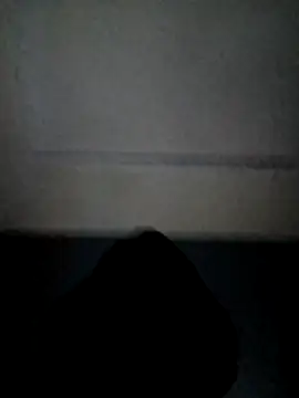 Show webcam de ELPELONDEBRAZER
