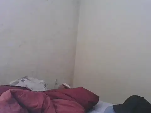 Chat XXX Live sripper9
