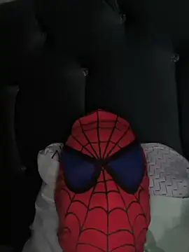 Fortteam Webcam Show