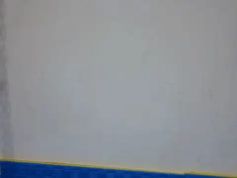 watudong Webcam show