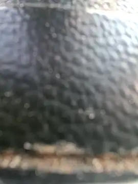 Chat +18 de Savonani ao vivo