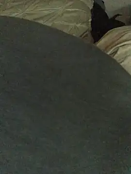 donimani 现场XXX聊天
