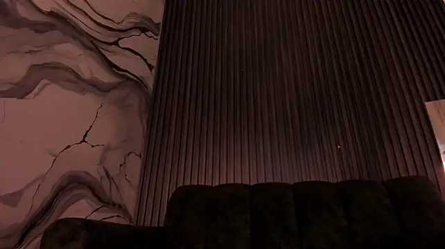 AgarEvans 现场XXX聊天
