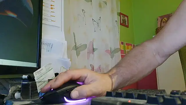 capitaine111 élő XXX-chatje