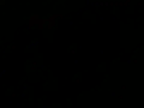 Živý XXX chat tencum190