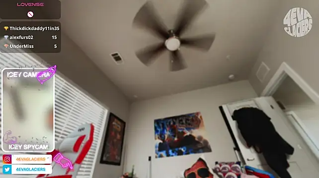 4EVAGLACIERS Show Webcam