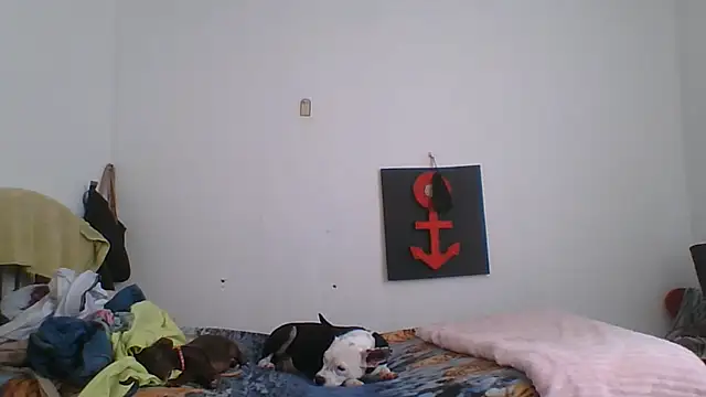 צ'אט XXX בשידור חי של brenda_sofia69