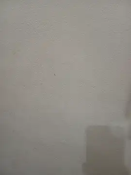 Tanha18n Live XXX chat
