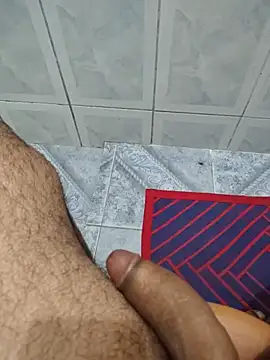 Show de webcam de Willdpo