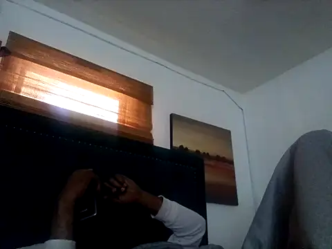 Blkstylion's Webcam Show