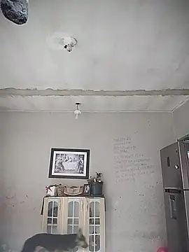 Show de anim1301 na webcam