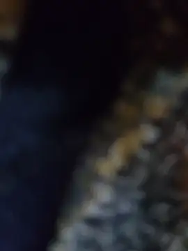 Felix_Asher Chat XXX in diretta