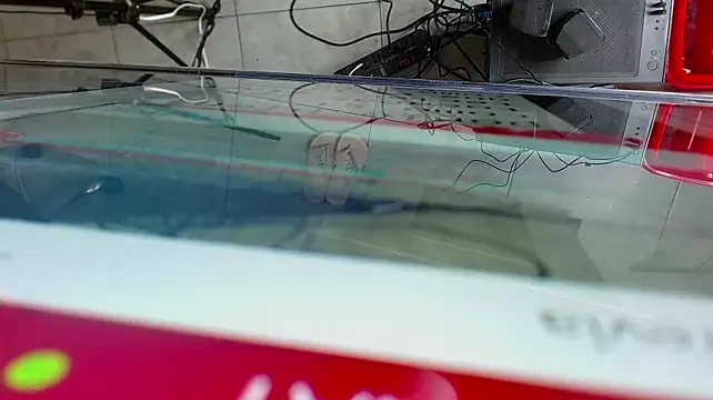 دردشة Elenna__ الجنسية المباشرة