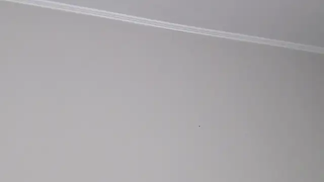 IzabelllNoir 라이브 XXX 채팅