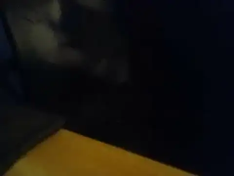 הופעת וובקאם של SALLY_OMAR_