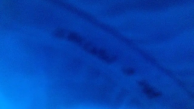 ray_and_666 现场XXX聊天