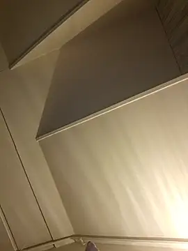 petvarad 라이브 XXX 채팅