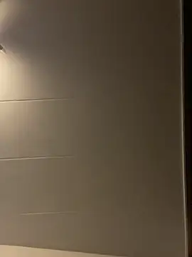 segbemaln Webbikameraesitys