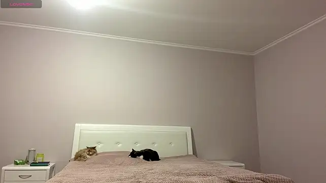 Živý XXX chat _EmberFamn
