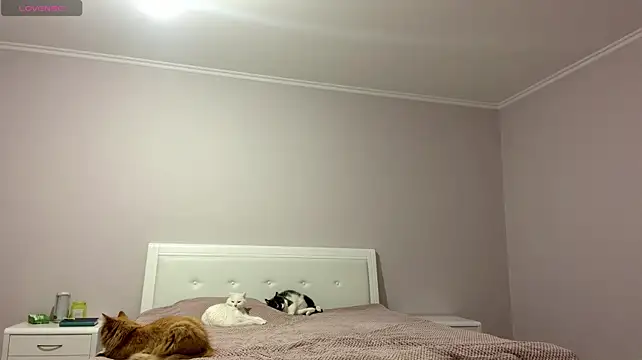 XXX chat uživo modela _EmberFamn