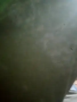 Elchabondestrip Pertunjukan Webcam