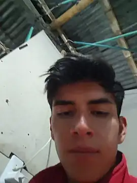 Chat XXX Live ZaneHoward