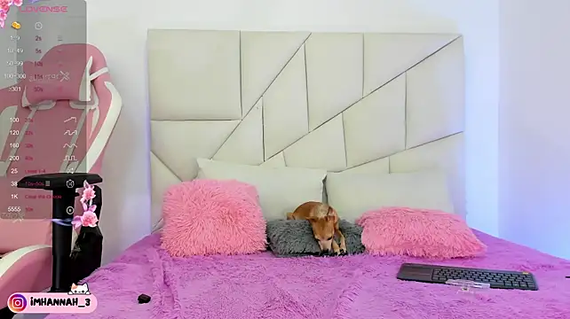 Imhann3's Live XXX Chat