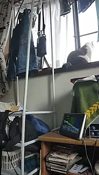 Chat XXX ao vivo de 07YUKIO
