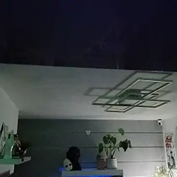 DampDepot54 Webcam Show