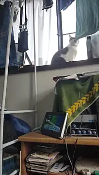 Živý XXX chat 07YUKIO