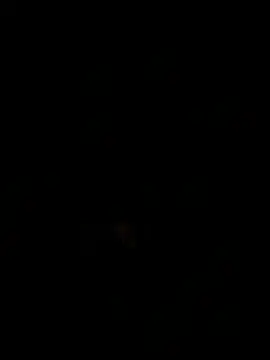 Maximo_Juli Live XXX Chat