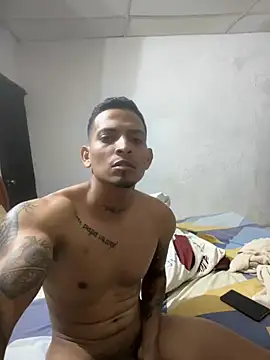 david231212 webcam show