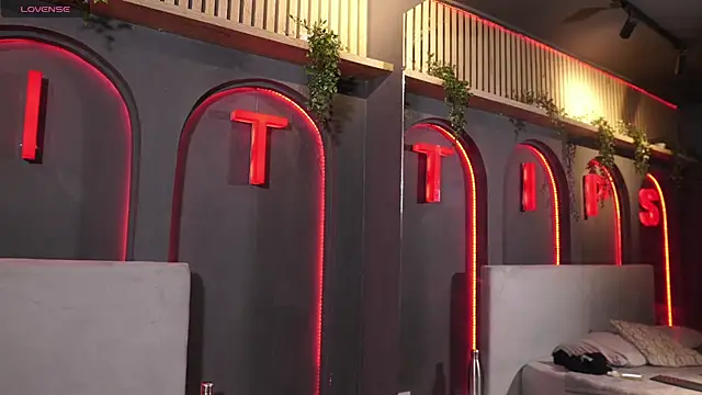 TianBrooks 웹캠 쇼